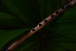 Krishna's Calming Flute